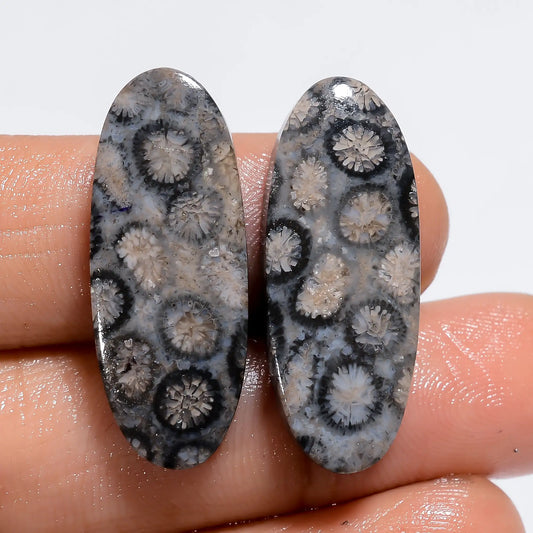 Black Fossil Coral Oval Shape Cabochon Loose Gemstone Pair Natural 25.5 Ct. 27X10X3 mm V-7220