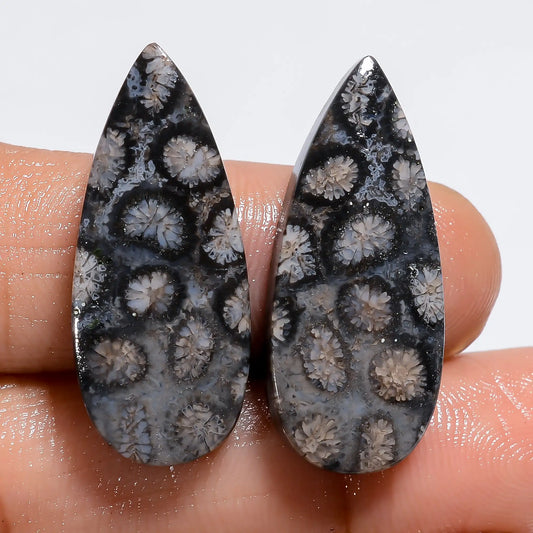 Black Fossil Coral Pear Shape Cabochon Loose Gemstone Pair Natural 28 Ct. 27X11X4 mm V-7221