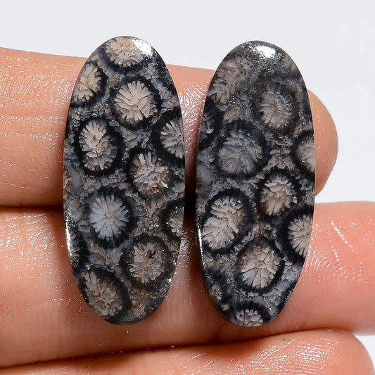Black Fossil Coral Oval Shape Cabochon Loose Gemstone Pair Natural 24 Ct. 27X10X3 mm V-7224