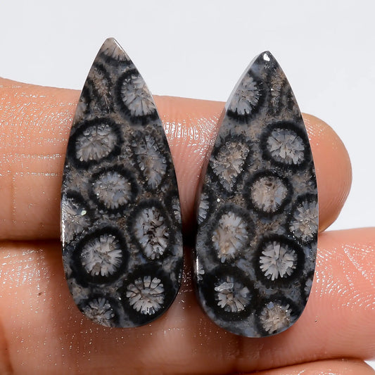 Black Fossil Coral Pear Shape Cabochon Loose Gemstone Pair Natural 27.5 Ct. 27X10X3 mm V-7225