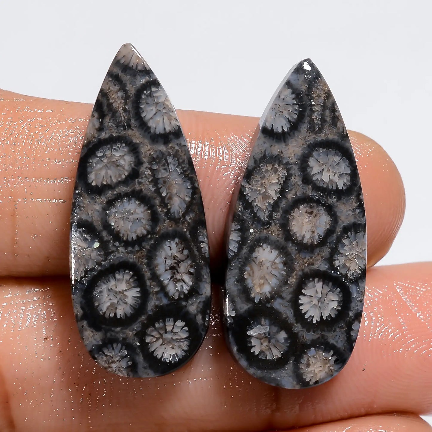 Black Fossil Coral Pear Shape Cabochon Loose Gemstone Pair Natural 27.5 Ct. 27X10X3 mm V-7225