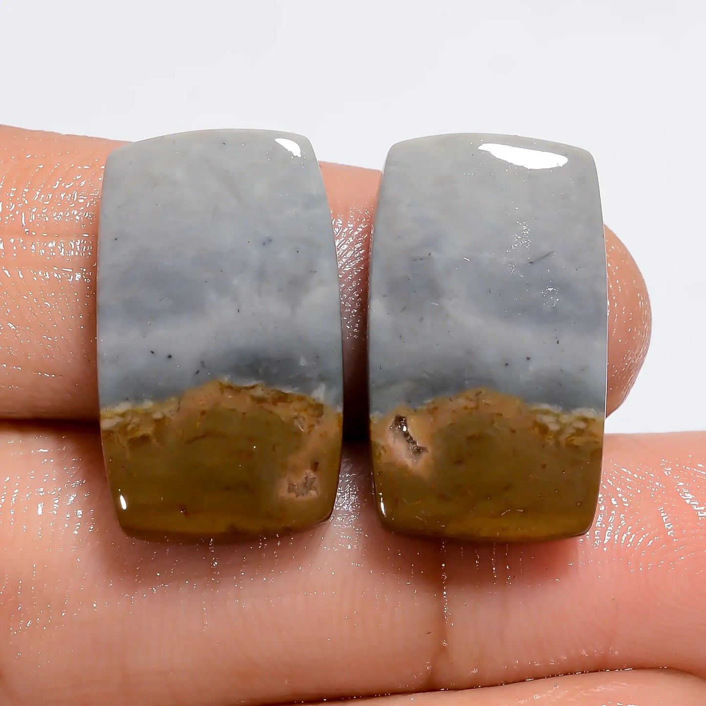 Polychrome Jasper Radiant Shape Cabochon Loose Gemstone Pair Natural 20.5 Ct. 19X11X2 mm V-7233