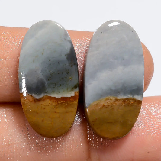 Polychrome Jasper Oval Shape Cabochon Loose Gemstone Pair Natural 18.5 Ct. 22X10X2 mm V-7246