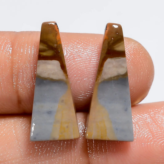 Polychrome Jasper Fancy Shape Cabochon Loose Gemstone Pair Natural 9.5 Ct. 19X7X2 mm V-7252