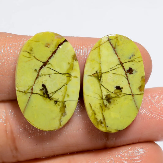 Green Opal Oval Shape Cabochon Loose Gemstone Pair Natural 19 Ct. 23X15X2 mm V-7281