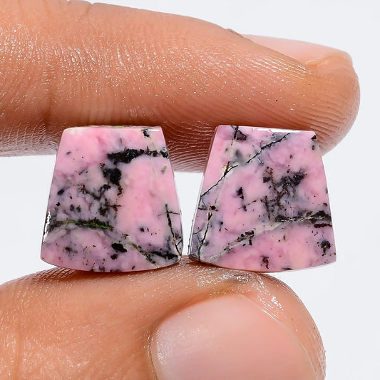 Rhodonite Fancy Shape Cabochon Loose Gemstone Pair Natural 14 Ct. 10X10X2 mm V-7361