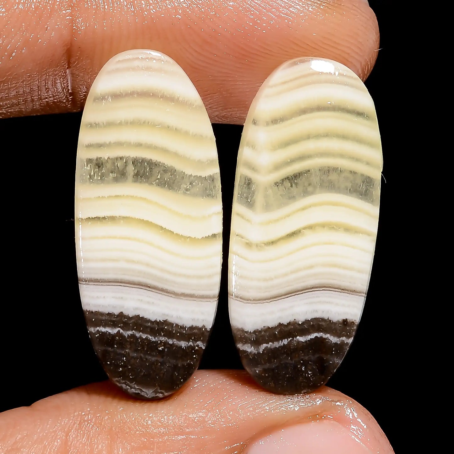 Zebra Jasper Oval Shape Cabochon Loose Gemstone Pair Natural 26 Ct. 26X10X3 mm V-7447