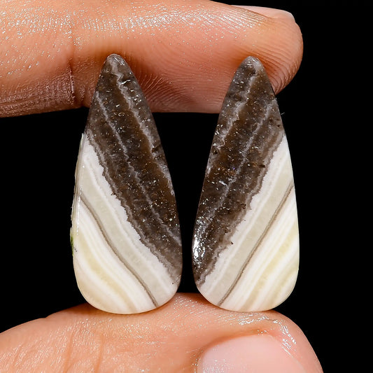 Zebra Jasper Pear Shape Cabochon Loose Gemstone Pair Natural 21.5 Ct. 26X10X2 mm V-7449