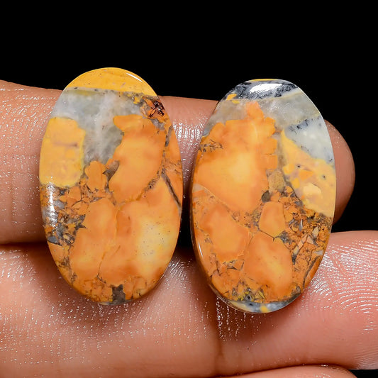 Maligano Jasper Oval Shape Cabochon Loose Gemstone Pair Natural 28 Ct. 22X13X3 mm V-7506
