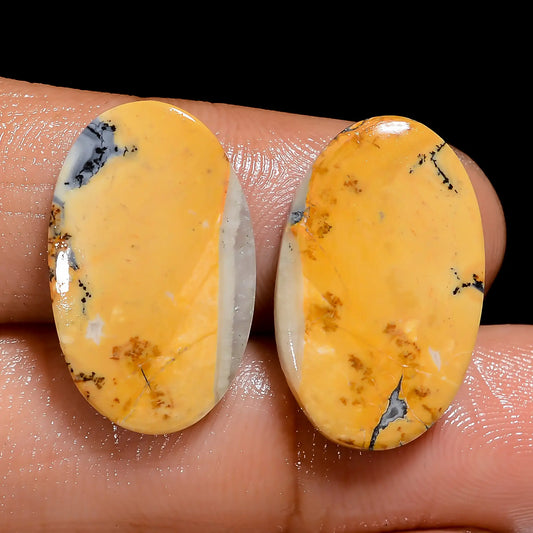 Maligano Jasper Oval Shape Cabochon Loose Gemstone Pair Natural 18.5 Ct. 20X12X2 mm V-7509