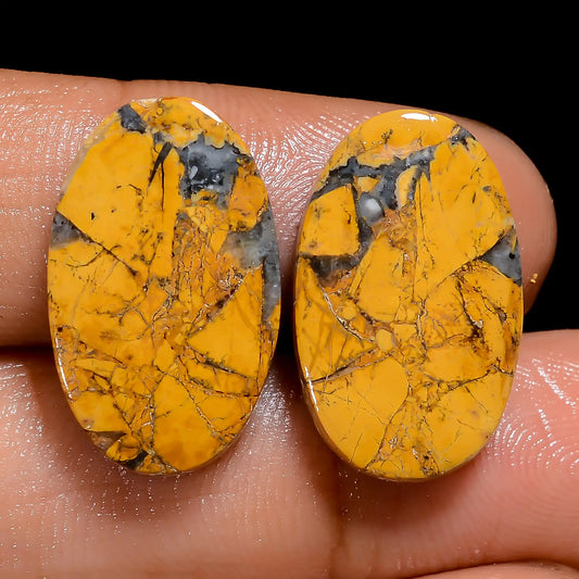 Maligano Jasper Oval Shape Cabochon Loose Gemstone Pair Natural 18.5 Ct. 19X11X3 mm V-7512