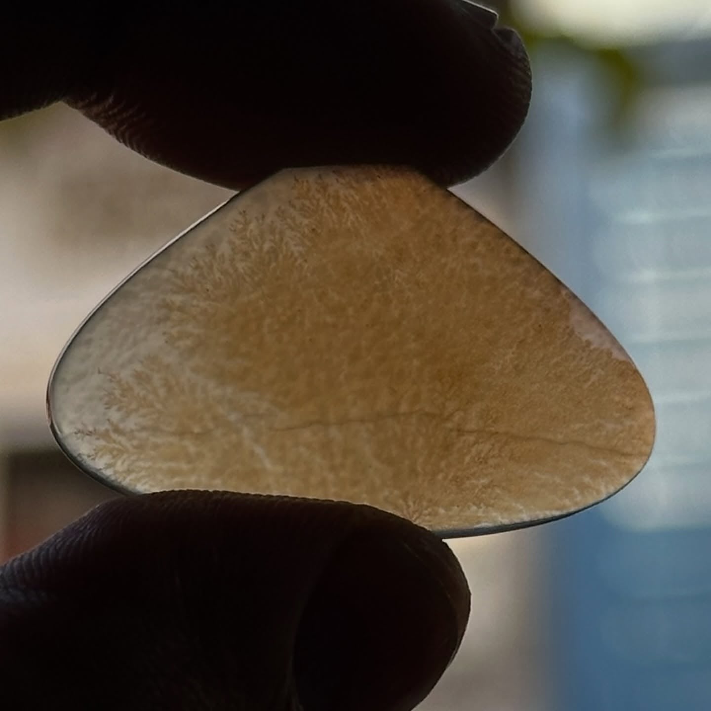 Scenic Agate Heart shape Cabochon Flat Back Gemstone 20X30 mm