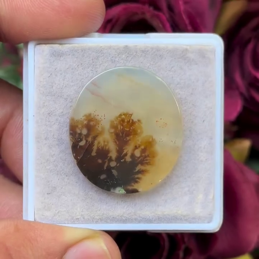 Scenic Agate Oval shape Cabochon Flat Back Gemstone 24X26 mm