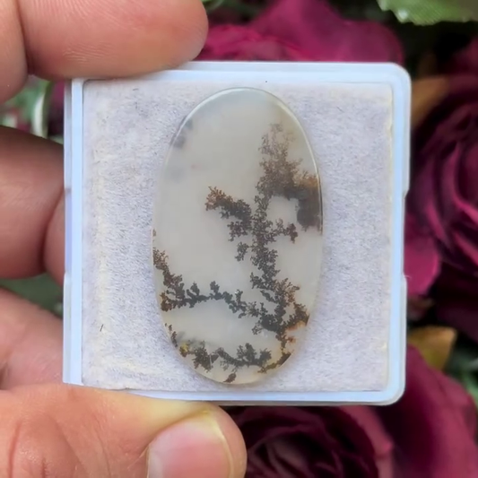 Scenic Agate Oval shape Cabochon Flat Back Gemstone 20X35 mm