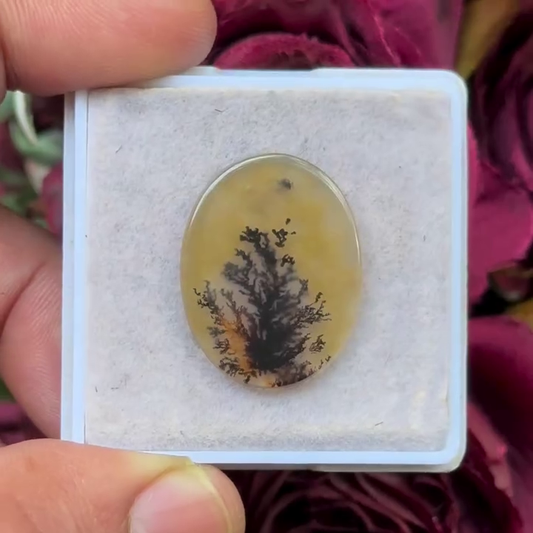 Scenic Agate Oval shape Cabochon Flat Back Gemstone 19X24 mm
