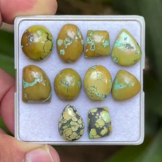 Tibetan Turquoise Mix Shape Cabcohons Flat Back Gemstones Lot, 12-15 mm T-05