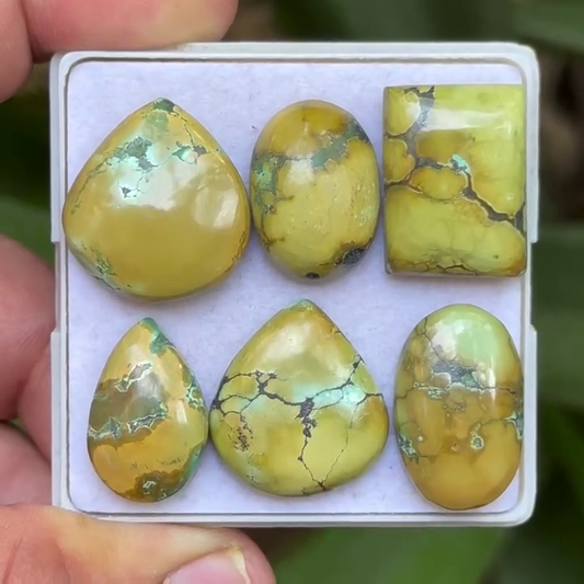Tibetan Turquoise Mix Shape Cabcohons Flat Back Gemstones Lot, 18-21 mm T-08