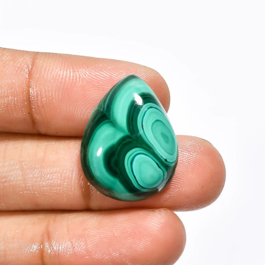 Malachite Pear Shape Cabochon Loose Gemstone Natural 23 Ct. 23X18X6 mm V-1774