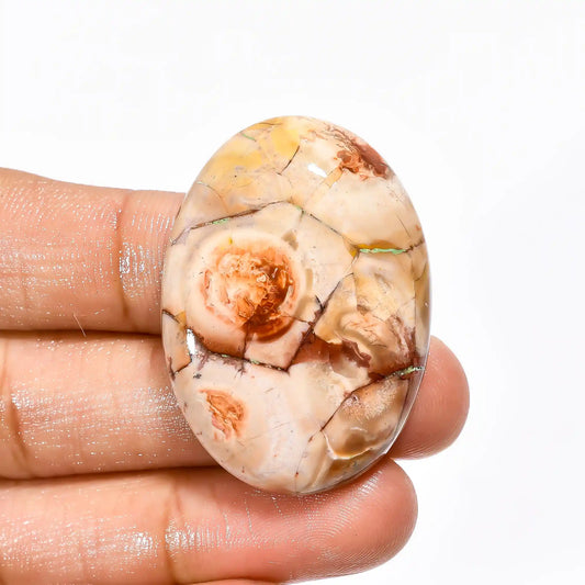 Bird Eye Jasper Oval Shape Cabochon Loose Gemstone Natural 59.5 Ct. 39X28X8 mm V-2226
