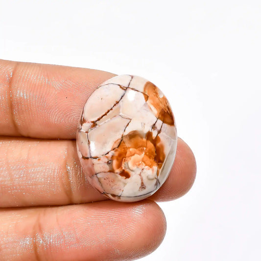 Bird Eye Jasper Oval Shape Cabochon Loose Gemstone Natural 24.5 Ct. 25X20X7 mm V-2231