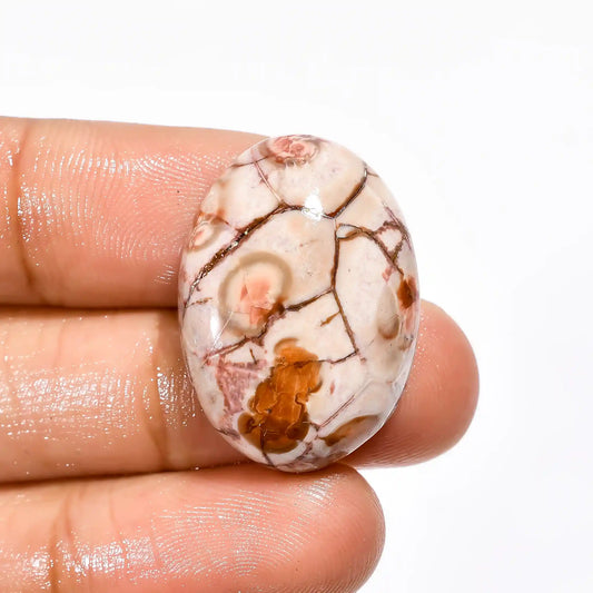 Bird Eye Jasper Oval Shape Cabochon Loose Gemstone Natural 25.5 Ct. 26X19X8 mm V-2236