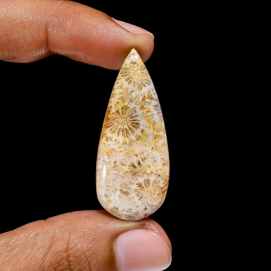 Fossil Coral Pear Shape Cabochon Loose Gemstone Natural 29 Ct. 40X17X5 mm V-2396