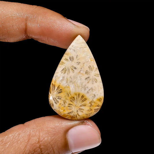 Fossil Coral Pear Shape Cabochon Loose Gemstone Natural 26 Ct. 33X21X5 mm V-2405