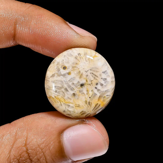 Fossil Coral Round Shape Cabochon Loose Gemstone Natural 21.5 Ct. 21X21X6 mm V-2406