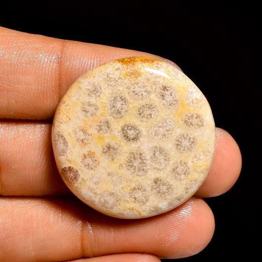 Fossil Coral Round Shape Cabochon Loose Gemstone Natural 54.5 Ct. 30X30X7 mm V-858