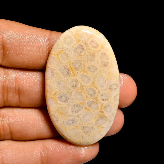 Fossil Coral Oval Shape Cabochon Loose Gemstone Natural 66 Ct. 45X28X6 mm V-859