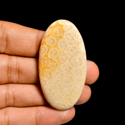 Fossil Coral Oval Shape Cabochon Loose Gemstone Natural 70 Ct. 50X26X6 mm V-860