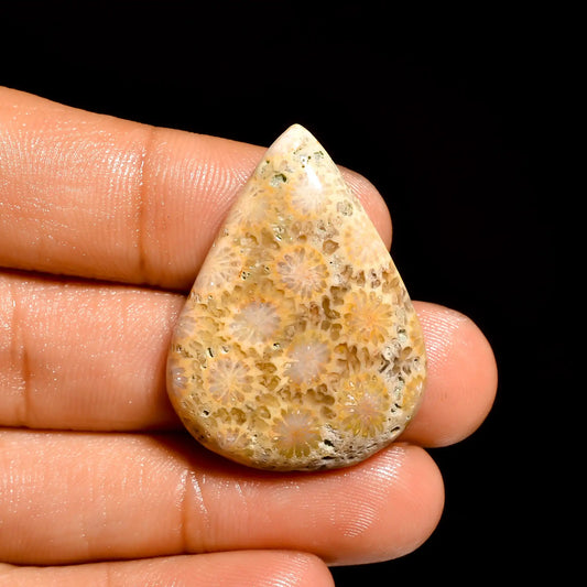 Fossil Coral Pear Shape Cabochon Loose Gemstone Natural 32 Ct. 33X24X7 mm V-861