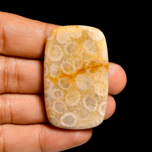 Fossil Coral Radiant Shape Cabochon Loose Gemstone Natural 77.5 Ct. 43X26X6 mm V-862