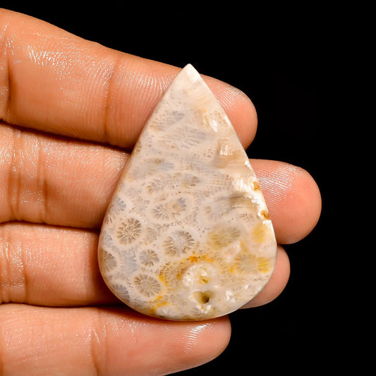 Fossil Coral Pear Shape Cabochon Loose Gemstone Natural 51.5 Ct. 42X28X6 mm V-863