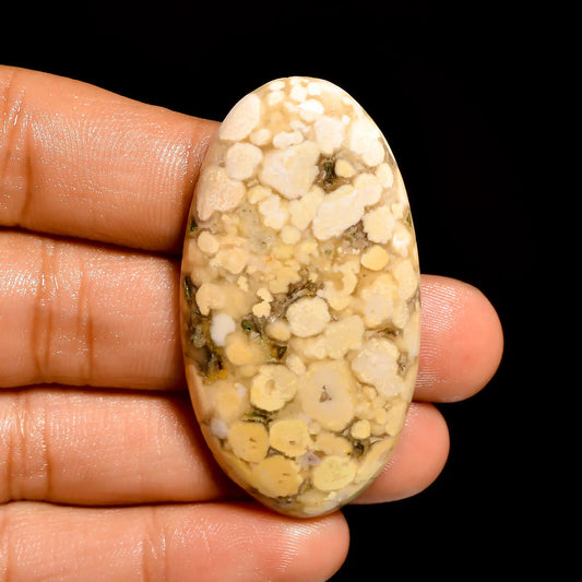 Cobra Jasper Oval Shape Cabochon Loose Gemstone Natural 65.5 Ct. 48X26X6 mm V-871