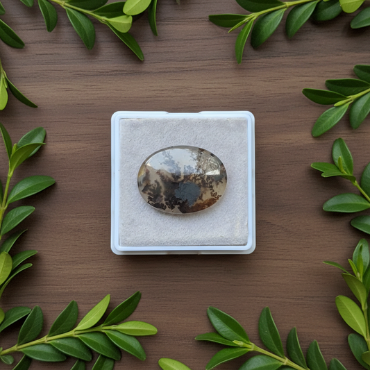Scenic Agate Oval shape Cabochon Flat Back Gemstone 20X26 mm