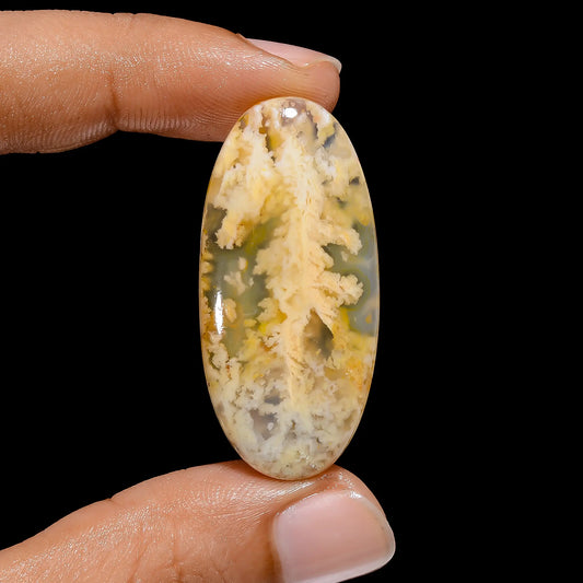 Unique Top Grade Quality 100% Natural Graveyard Plume Agate Oval Shape Cabochon Loose Gemstone For Making Jewelry 33 Ct. 40X19X5 mm V-3871