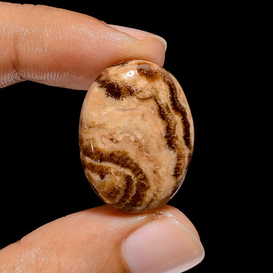 Tempting Top Grade Quality 100% Natural Chocolate Calcite Aragonite Oval Shape Cabochon Gemstone For Making Jewelry 22 Ct. 25X19X5 mm V-3893