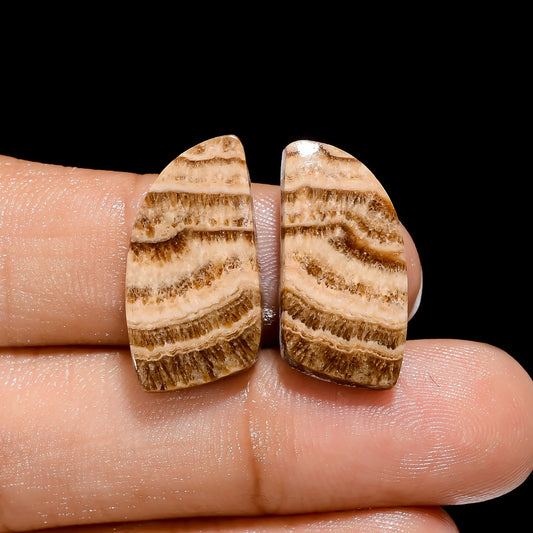 Beautiful A One Quality 100% Natural Chocolate Calcite Aragonite Fancy Cabochon Gemstone Pair For Making Earrings 16 Ct. 20X10X4 mm V-4451