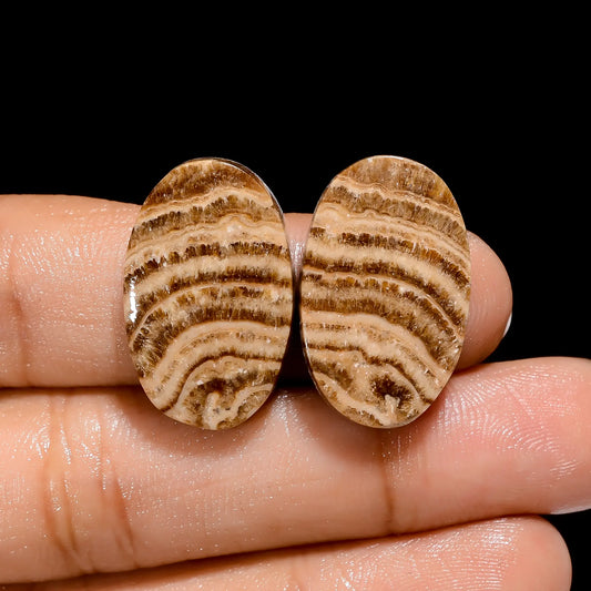 Elegant A One Quality 100% Natural Chocolate Calcite Aragonite Oval Shape Cabochon Gemstone Pair For Making Earrings 30.5 Ct 23X14X5 mm V4456