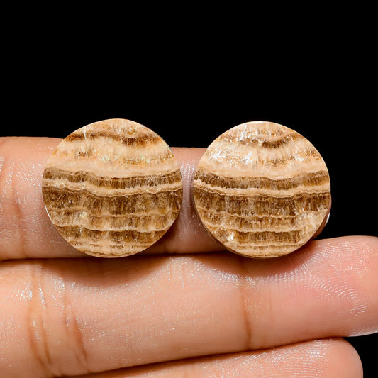 Fabulous A One Quality 100% Natural Chocolate Calcite Aragonite Round Cabochon Gemstone Pair For Making Earrings 24.5 Ct. 18X18X3 mm V-4457