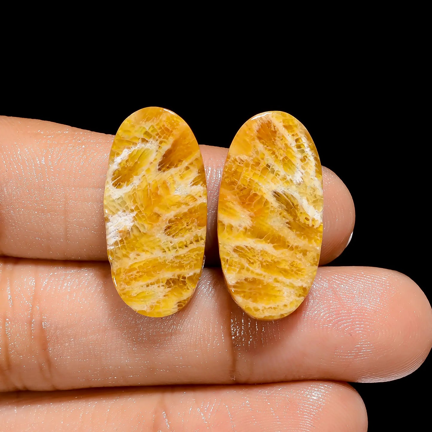 Marvellous Top Grade Quality 100% Natural Fossil Coral Oval Shape Cabochon Loose Gemstone Pair For Making Earrings 24 Ct. 24X12X4 mm V-4487