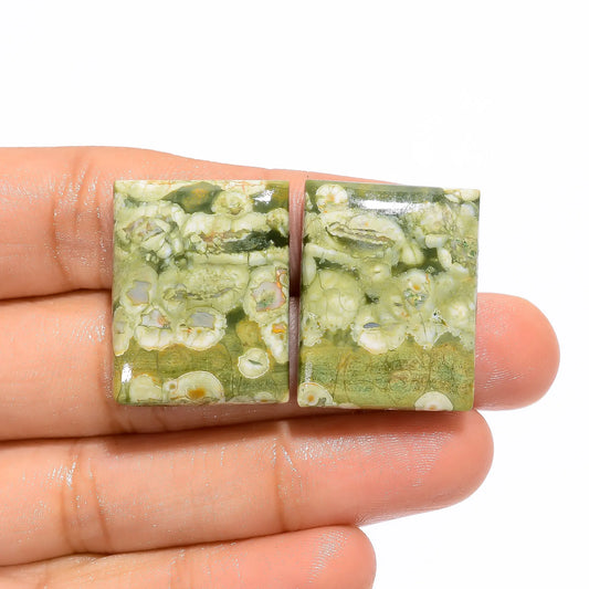 Immaculate Top Grade Quality 100% Natural Rhyolite Rectangle Shape Cabochon Loose Gemstone Pair For Making Earrings 51.5 Ct 25X20X5 mm V-4736