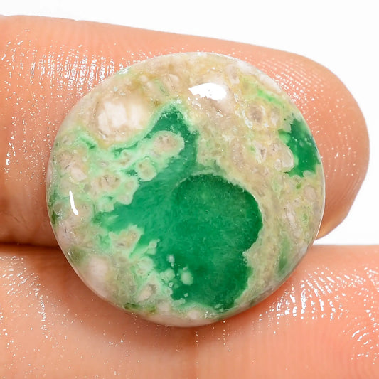 Fantastic Top Grade Quality 100% Natural Variscite Round Shape Cabochon Loose Gemstone For Making Jewelry 9.5 Ct. 16X16X4 mm V-5116