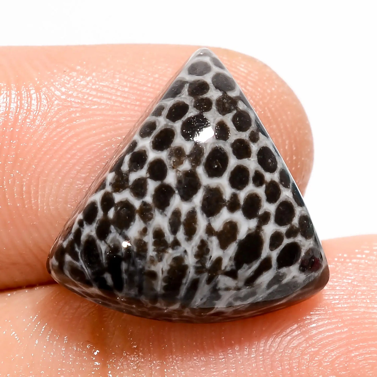 Tempting Top Grade Quality 100% Natural Snakeskin Triangle Shape Cabochon Loose Gemstone For Making Jewelry 11 Ct. 16X16X6 mm V-5454