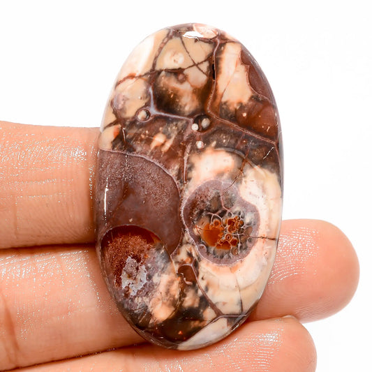 Gorgeous Top Grade Quality 100% Natural Bird Eye Jasper Oval Shape Cabochon Loose Gemstone For Making Jewelry 43.5 Ct. 41X24X5 mm V-5486