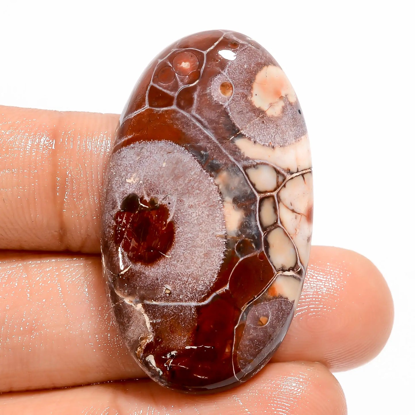 Bird Eye Jasper Oval Shape Cabochon Loose Gemstone Natural 42 Ct. 38X22X6 mm V-5487