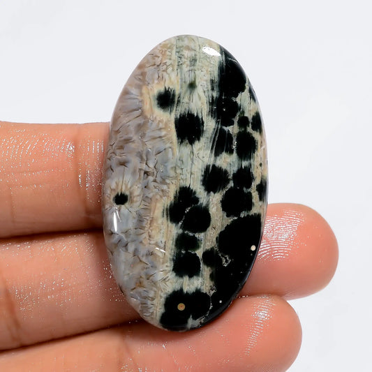 Incredible Top Grade Quality 100% Natural Ocean Jasper Oval Shape Cabochon Loose Gemstone For Making Jewelry 46 Ct. 40X22X6 mm V-6185