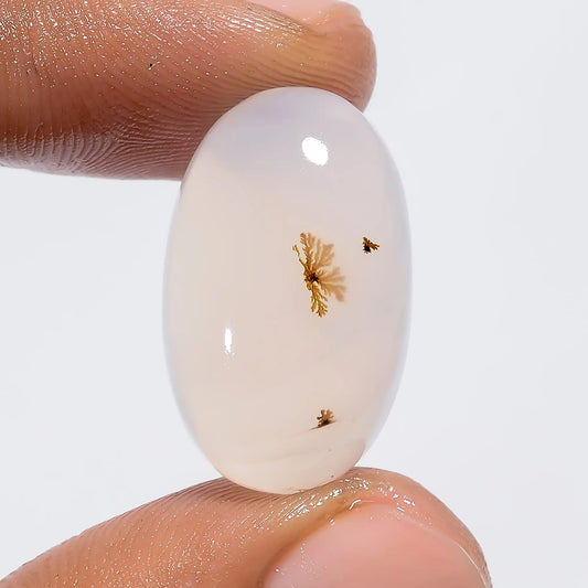 Classic Top Grade Quality 100% Natural Dendrite Shajar Agate Oval Shape Cabochon Loose Gemstone For Making Jewelry 19 Ct. 23X14X7 mm V-6371