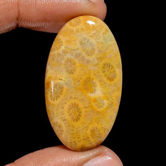 Excellent Top Grade Quality 100% Natural Fossil Coral Oval Shape Cabochon Loose Gemstone For Making Jewelry 33.5 Ct. 36X20X5 mm V-6777